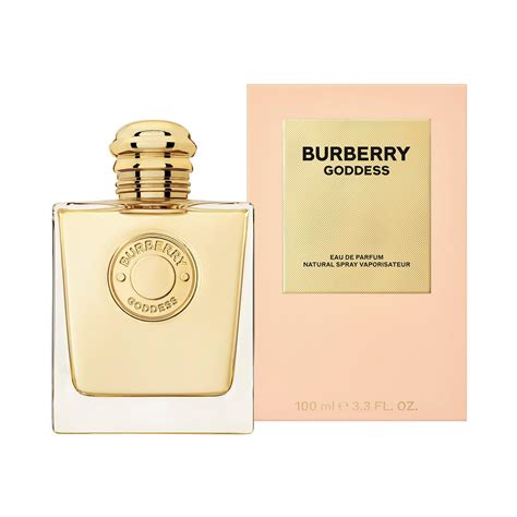 burberry shoppers|shoppers burberry perfume.